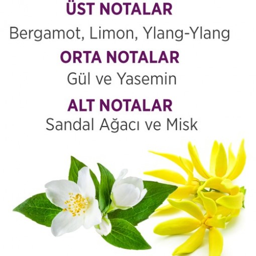 BELLISSIMA EDT 60ml+DEO 150ml  KOFRE