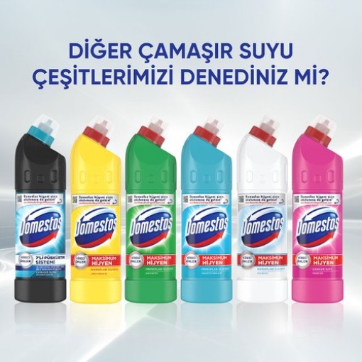 Domestos Dağ Esintisi Maksimum Hijyen Çamaşır Suyu 750 ml - 3 lü Paket